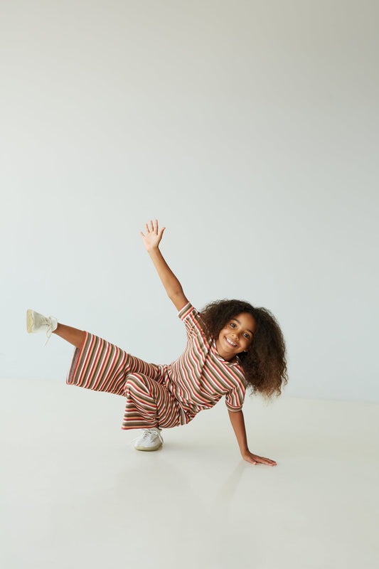 Danny Wide Leg Pants | Sunset Stripes