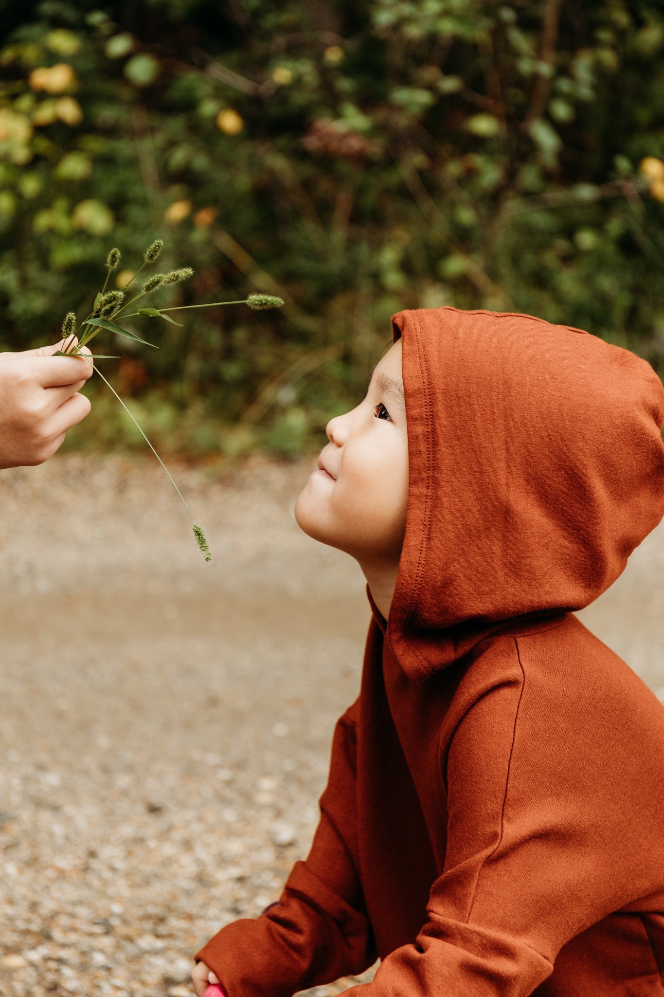 Grow With Me Hoodie | Chestnut